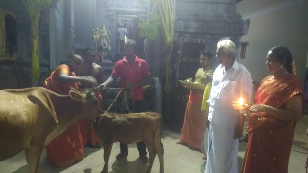 கோமாதா பூஜை