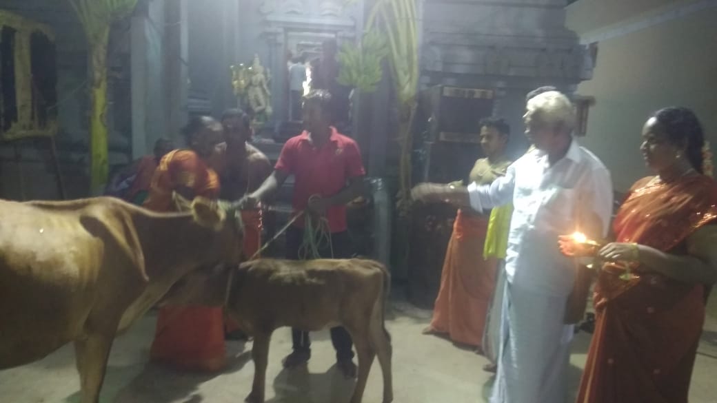 கோமாதா பூஜை