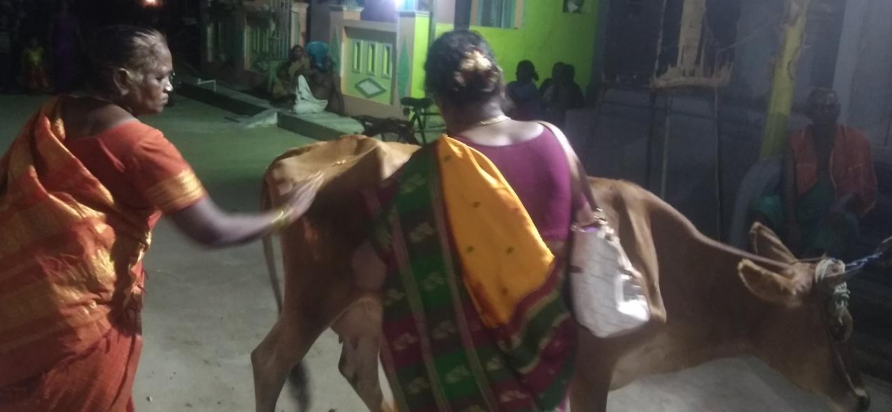 கோமாதா பூஜை