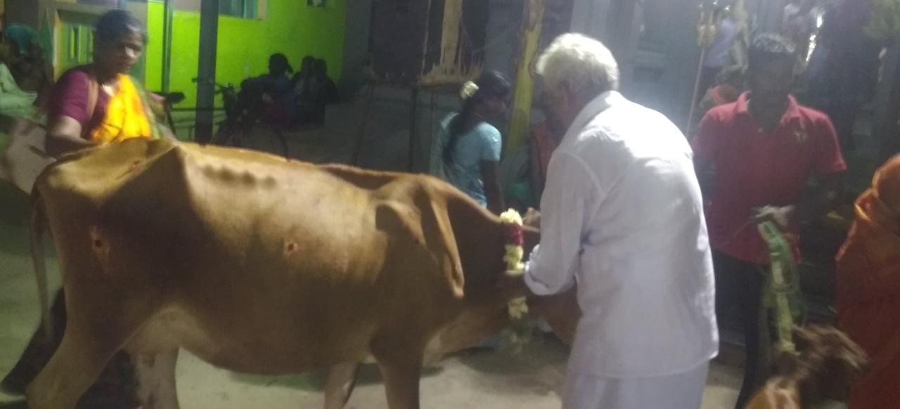 கோமாதா பூஜை