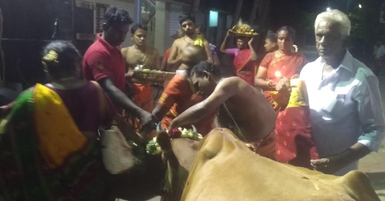 கோமாதா பூஜை