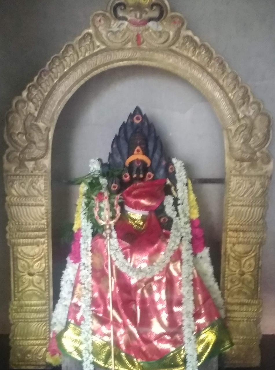 கிராம தேவதைகள்